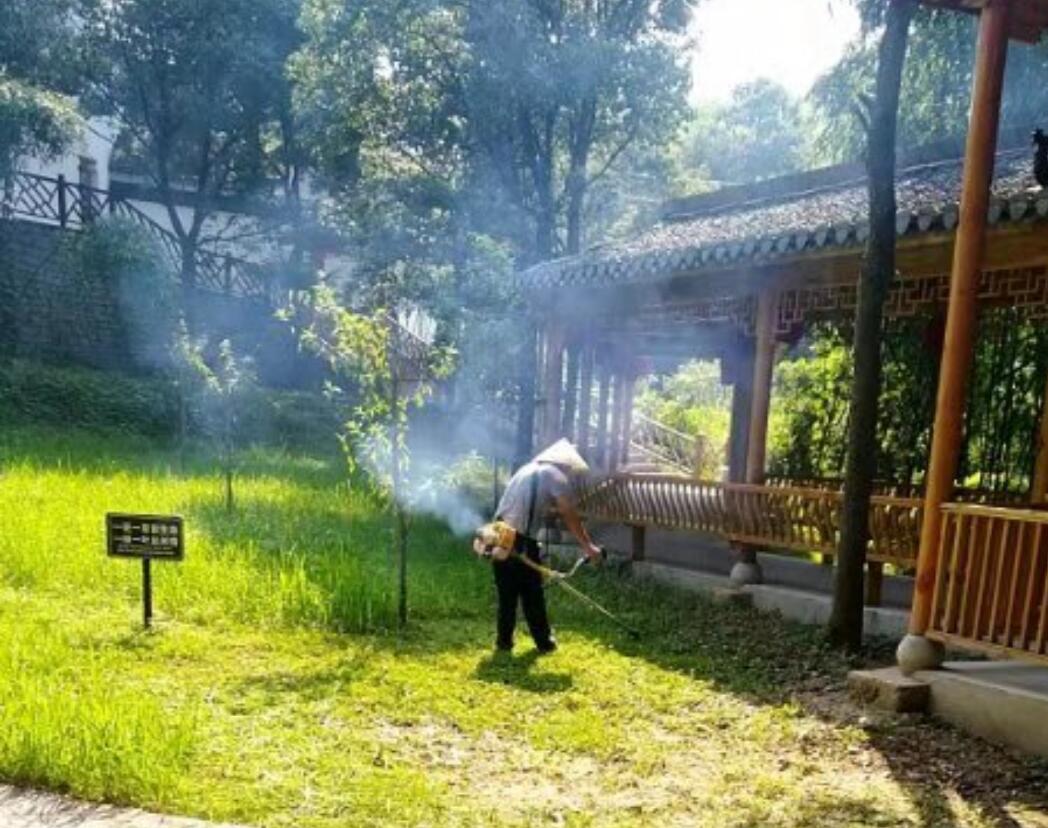 小勐拉99厅(中国游) - 官方网站