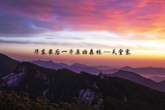 小勐拉99厅(中国游) - 官方网站